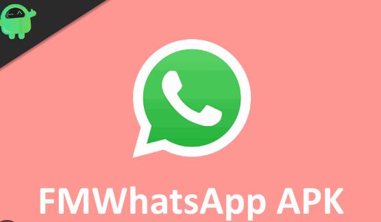 Securing Your Chats: Privacy Features of FM WhatsApp